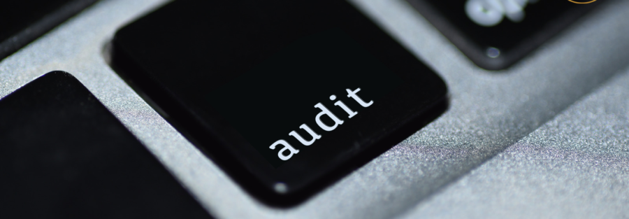 Stages of the Audit: Audit Planning